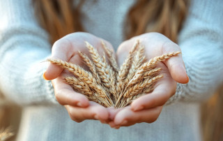 Glutenintoleranz und Glutenunverträglichkeit