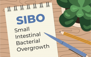 Dünndarmfehlbesiedelung (SIBO)